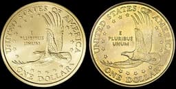 Gold Double Eagle